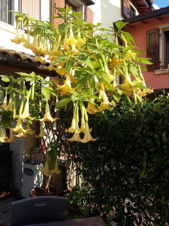 La Carbonara 6 Bed & Breakfast Bardolino Exterior photo